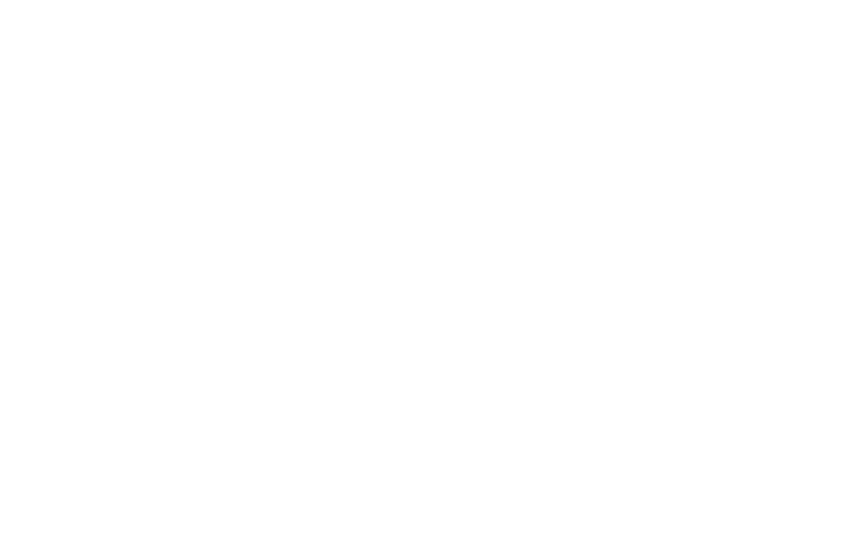 Bipartisan Relationship Network Bipartisan Relationship Network